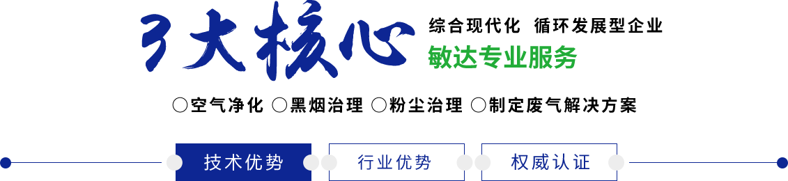 日本人肏人免费视频在线观看敏达环保科技（嘉兴）有限公司